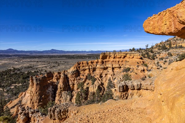 Hoodoo rock formations in canyon