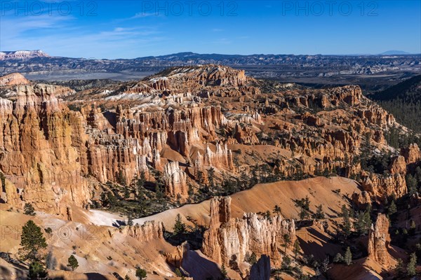 Hoodoo rock formations in canyon