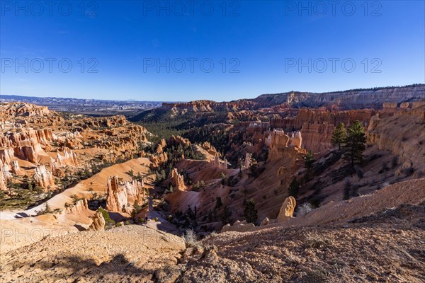 Hoodoo rock formations in canyon