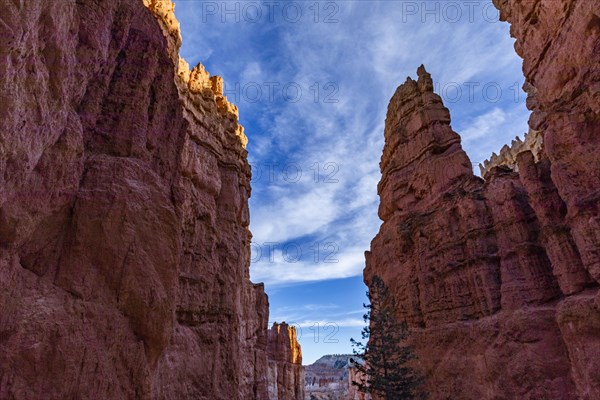 Hoodoo rock formations in canyon