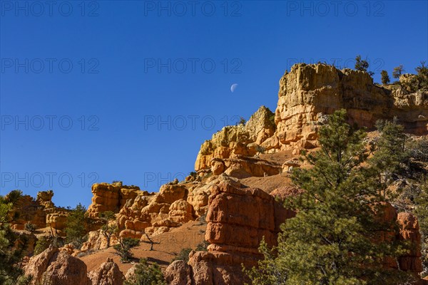 Sandstone texture in slot canyon wall