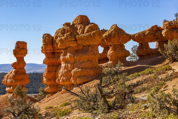 Hoodoo rock formations at entrance to canyon