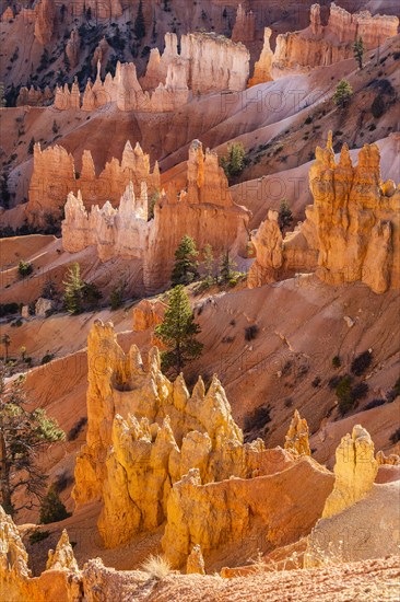 Hoodoo rock formations in canyon