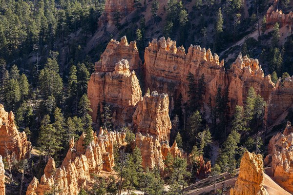 Hoodoo rock formations in canyon