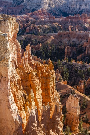 Hoodoo rock formations in canyon