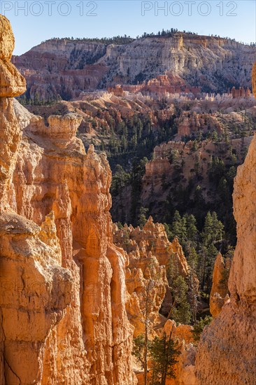 Hoodoo rock formations in canyon