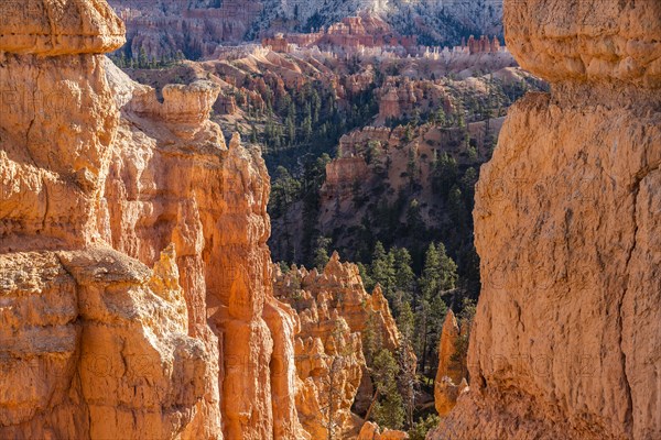 Hoodoo rock formations in canyon