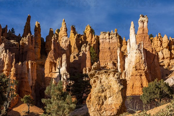 Hoodoo rock formations in canyon