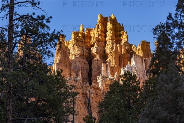 Hoodoo rock formations in canyon