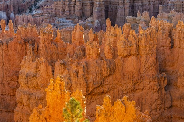 Hoodoo rock formations in canyon