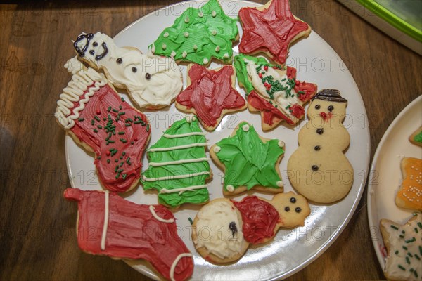 Decorated christmas cookies on plate