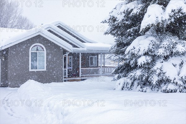 House and fir trees covered with fresh snow