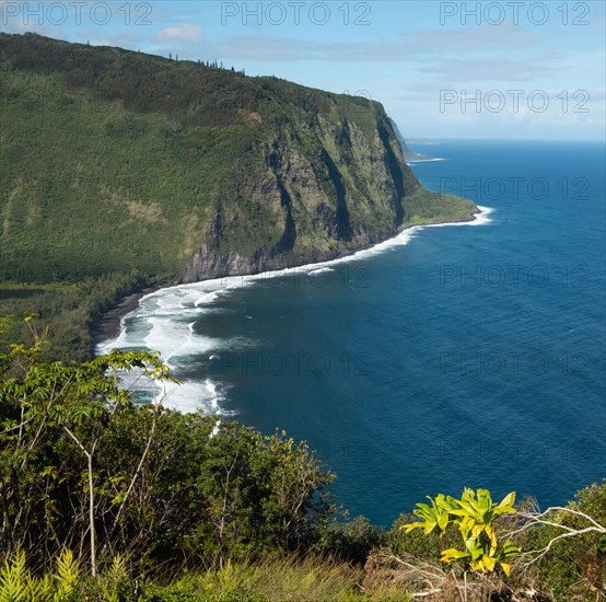 Black sand beach with cliffs