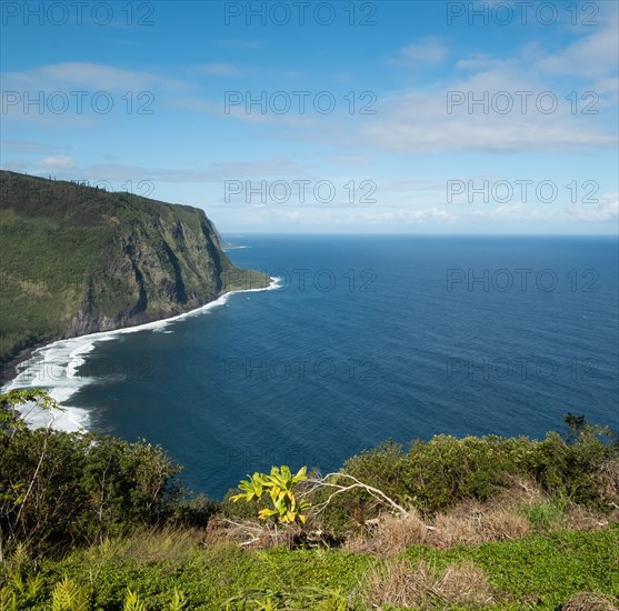 Black sand beach with cliffs