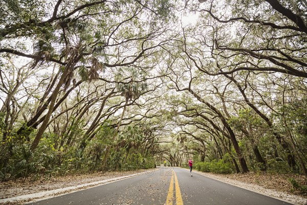 Woman jogging on treelined country road