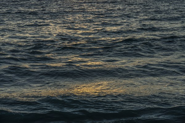 Dark early morning ocean waves reflecting golden sunlight