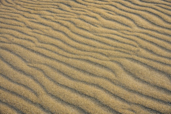 Close-up of rippled sand