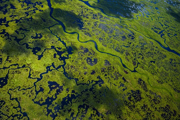 Aerial view of green wetlands and flowing water in Everglades National Park