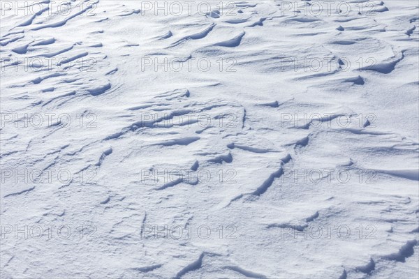 Snow drifts near Sun Valley on sunny winter day