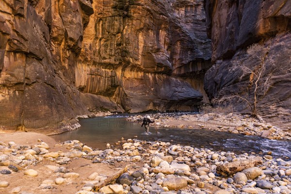 Senior female hiker