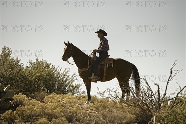 Cowboy riding horse