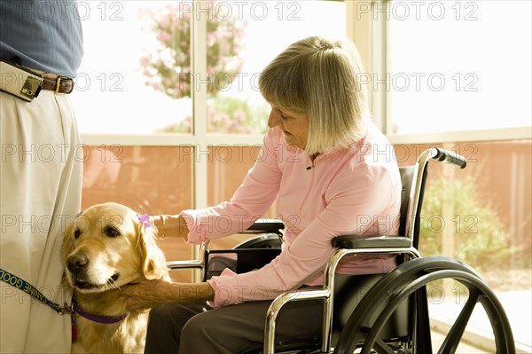 Dog assisted therapy for patient in wheelchair