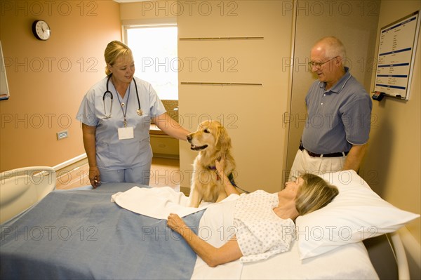 Dog assisted therapy for patient in hospital