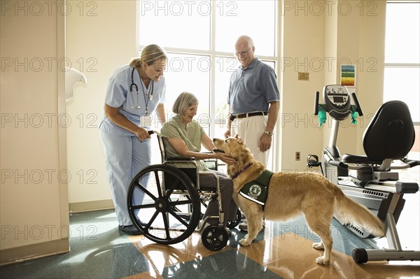 Dog assisted therapy for patient in wheelchair