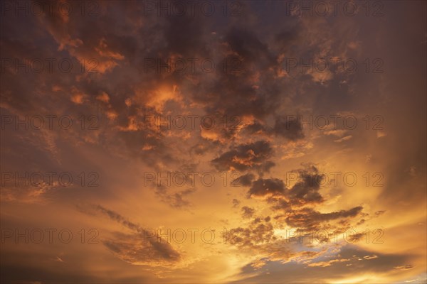 Dramatic golden clouds in sunset sky