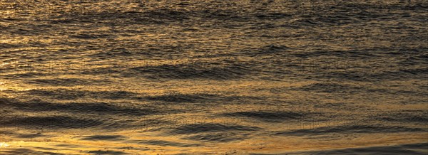 Calm ocean surface reflecting golden light at sunrise