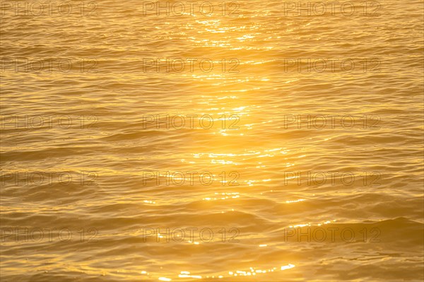 Calm ocean surface reflecting golden light at sunrise