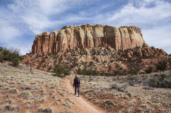 Rear view of female hiker near mesa in desert landscape