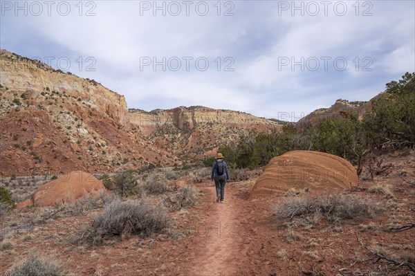 Rear view of woman hiking in desert landscape