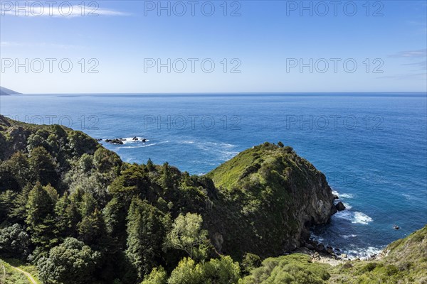 Green Big Sur coastline