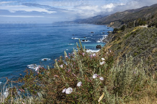 Ocean waves crashing against Big Sur coast