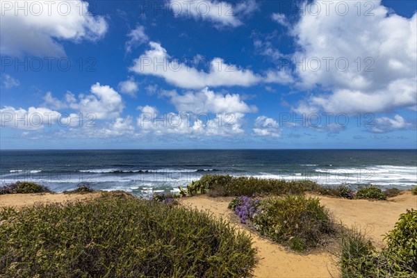 Sand beach at seaside