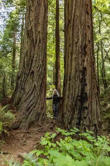 Senior woman hiking through redwood forest near Mt Tamalpais