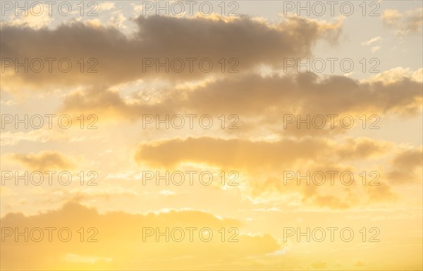 Cumulus clouds against pale golden sky at sunrise