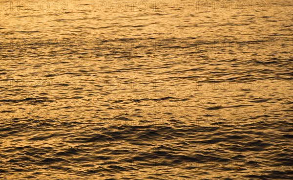 Calm ocean surface reflecting golden light at sunrise