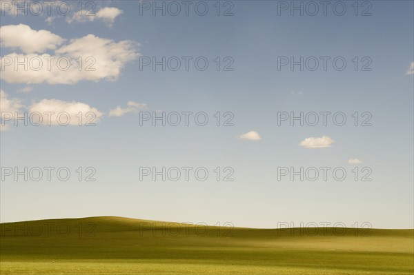 USA, Utah, Green pasture and clouds in blue sky