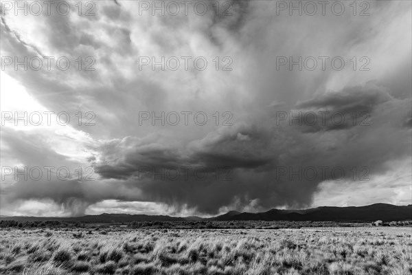 Stormy sky over grass plains