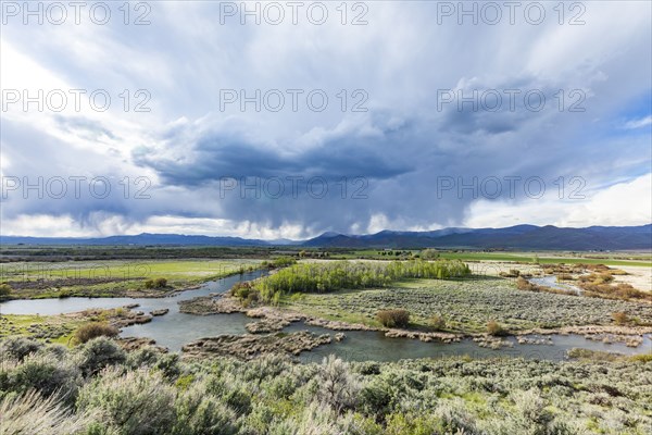 Stormy sky over wetlands