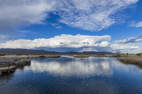 Clouds reflecting in pond