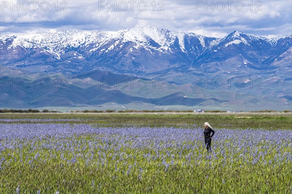 Senior woman standing in field of camas lilies with Soldier Mountain in background