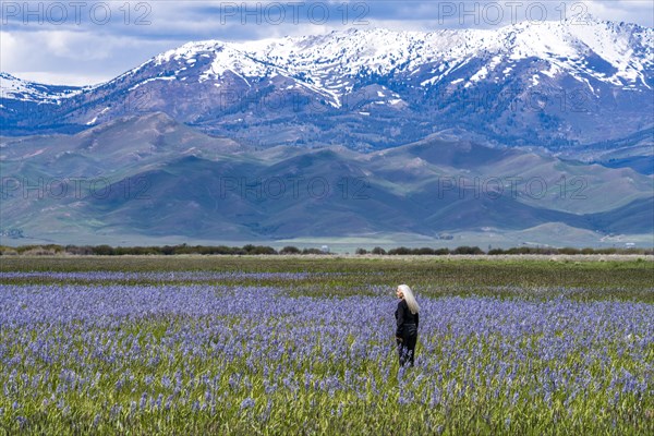 Senior woman standing in field of camas lilies Soldier Mountain in background
