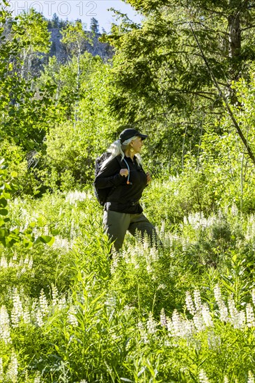 Woman hiking through spring wildflowers in Sun Valley