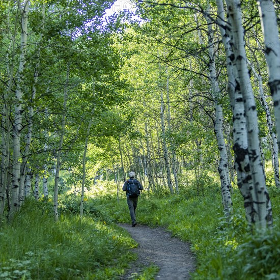 Senior man hiking in Sun Valley