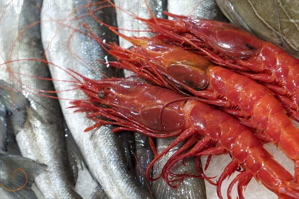 Seafood at local farmer market