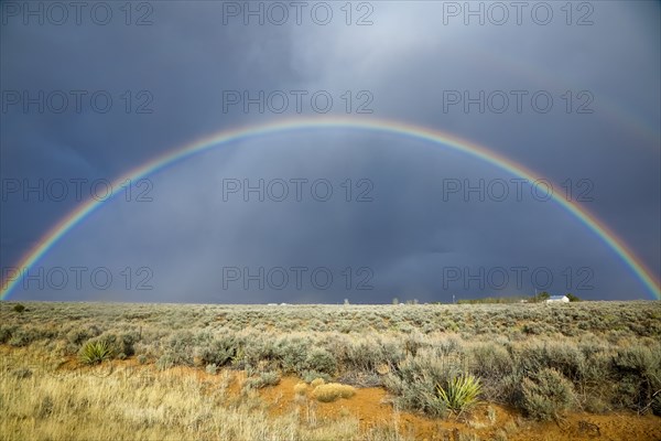 Rainbow over field