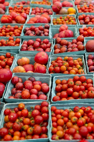 Tomatoes at farmers market